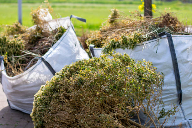 Best Furniture Removal  in Nashville, MI